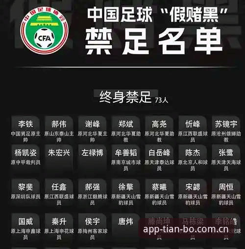 从足协最新禁足名单看中国足球行业规范——天博体育用户观赛体验与赛事信息获取指南